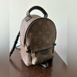 Louis Vuitton Palm Springs Mini
